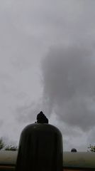 IMG_20160521_141320.jpg