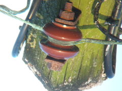DSCF0580.JPG