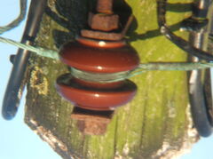 DSCF0566.JPG