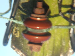 DSCF0567.JPG