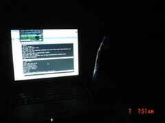 DSC01393.JPG
