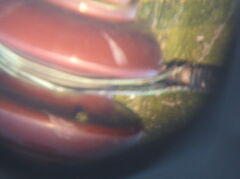 DSCF0581.JPG
