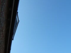 DSCF0563.JPG