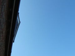 DSCF0563.JPG