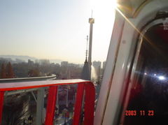 DSC01012.JPG